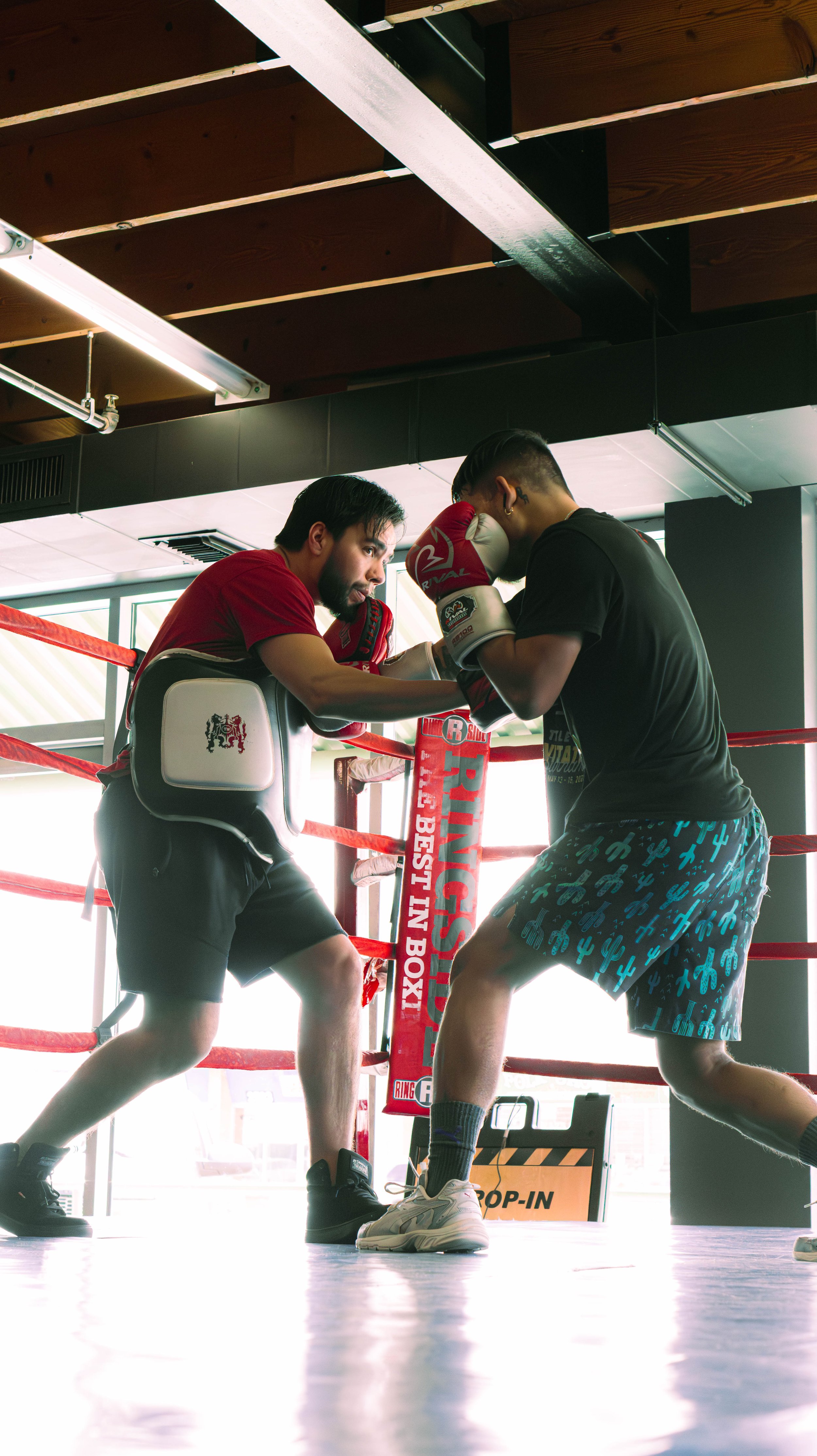 BFU competition team fighters in the ring
